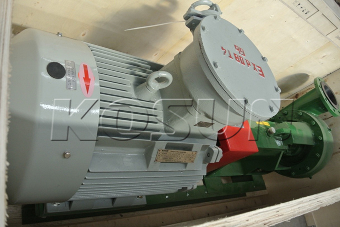 CP68-55 Centrifugal Pump Customized by the Customer